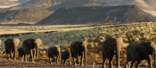voyage en Namibie
