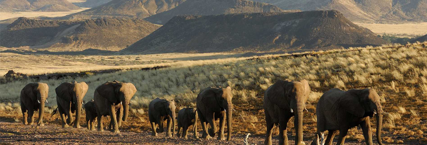 voyage en Namibie